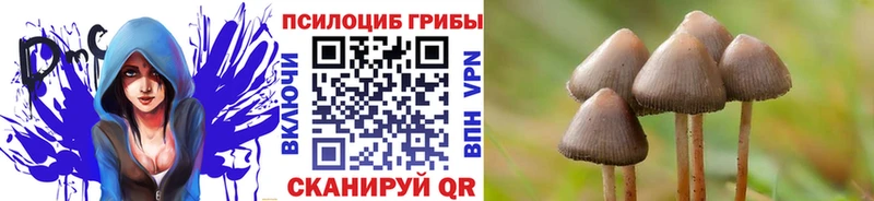 Псилоцибиновые грибы ЛСД  Болгар 