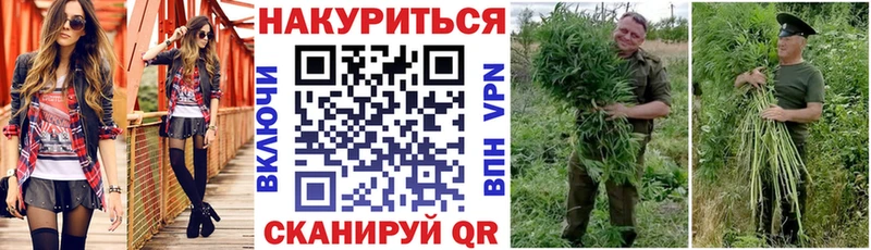 Конопля индика  hydra вход  Болгар 